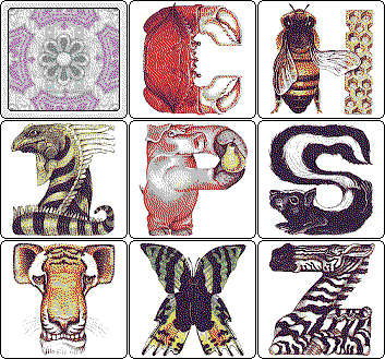 Animal Alphabet Card Set Preview